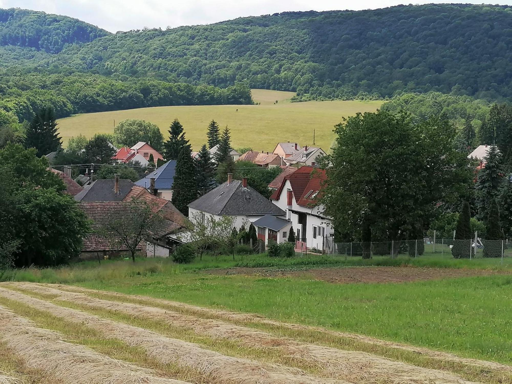 Borostyankut Wellness Home Баконьбийл Екстер'єр фото