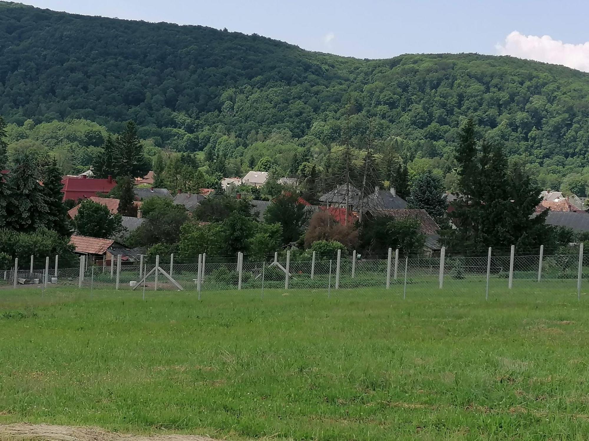 Borostyankut Wellness Home Баконьбийл Екстер'єр фото