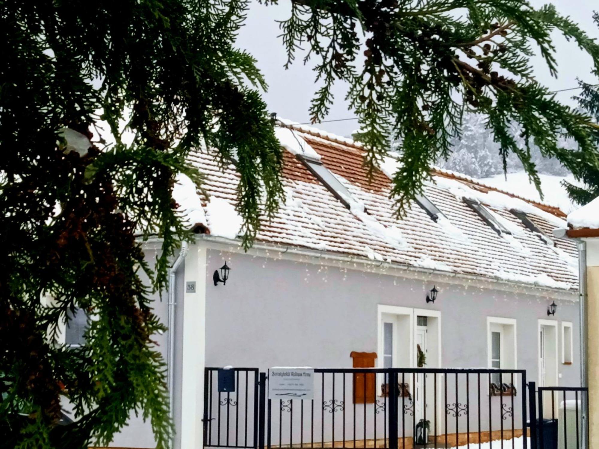 Borostyankut Wellness Home Баконьбийл Екстер'єр фото